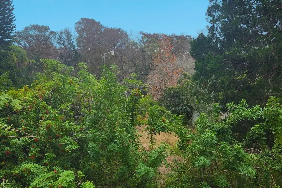 10944 & 10948 Echo Loop, New Port Richey, FL 34654 - Image #2