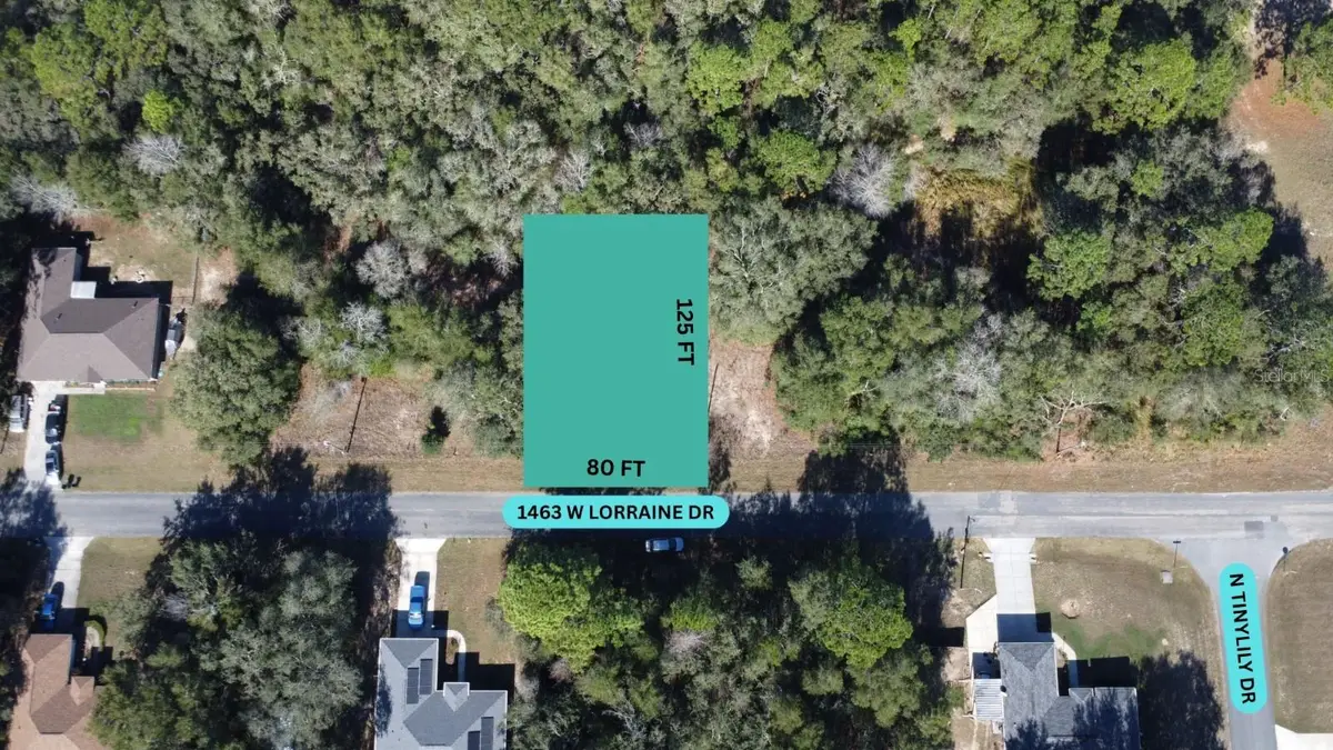 1463 W Lorraine Drive, Citrus Springs, FL 34434 - Image #1