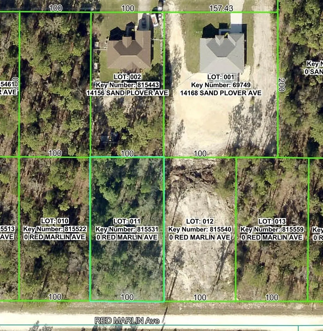 Lot 11 Red Marlin Avenue, Weeki Wachee, FL 34614 - Image #1