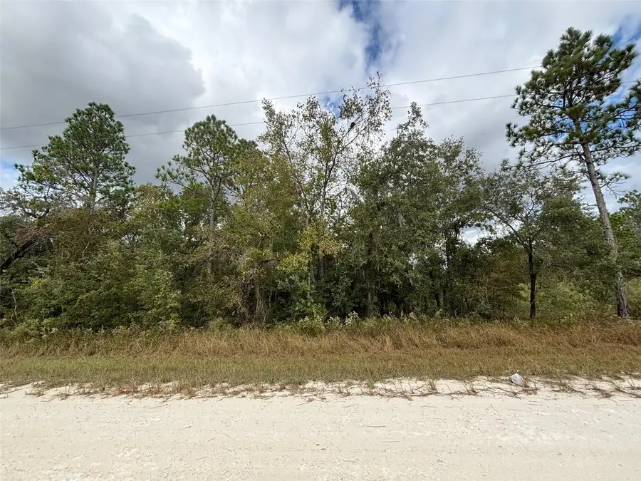 Lot 11 Red Marlin Avenue, Weeki Wachee, FL 34614 - Image #2