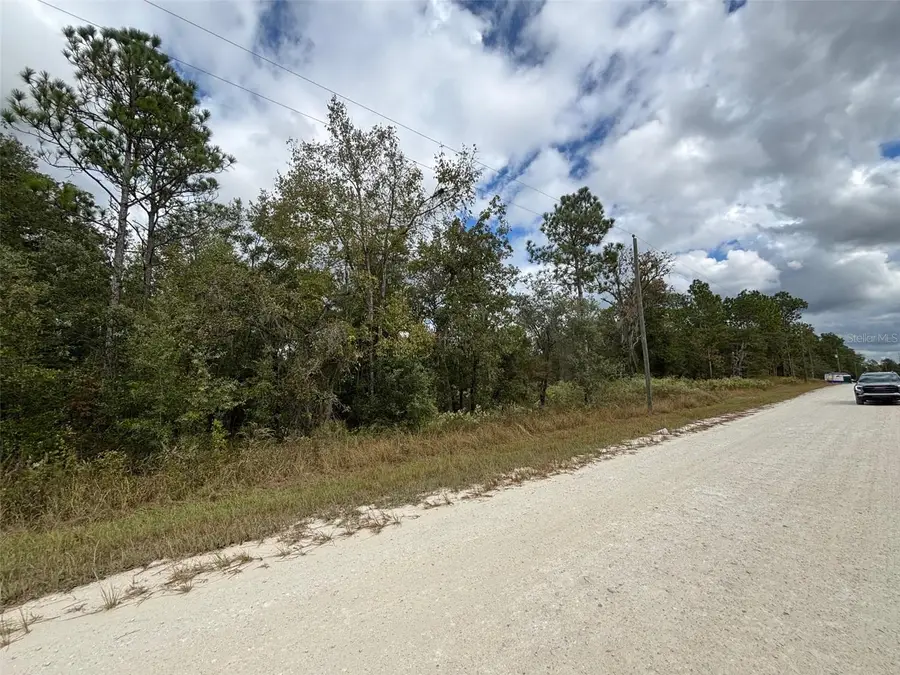 Lot 11 Red Marlin Avenue, Weeki Wachee, FL 34614 - Image #3