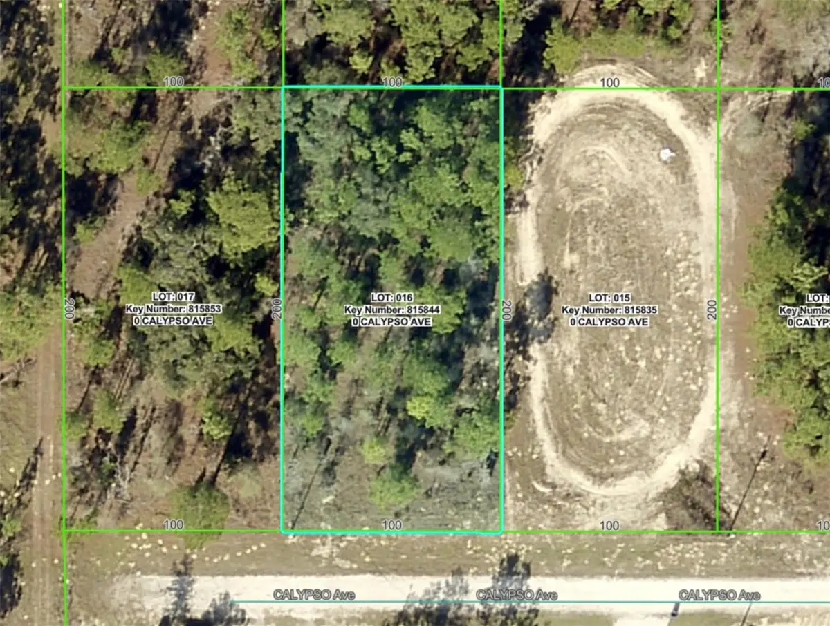 Lot 16 Calypso Avenue, Brooksville, FL 34614 - Image #1