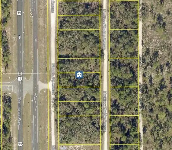 LOT 14 Necklace Warbler, Weeki Wachee, FL 34614 - #1