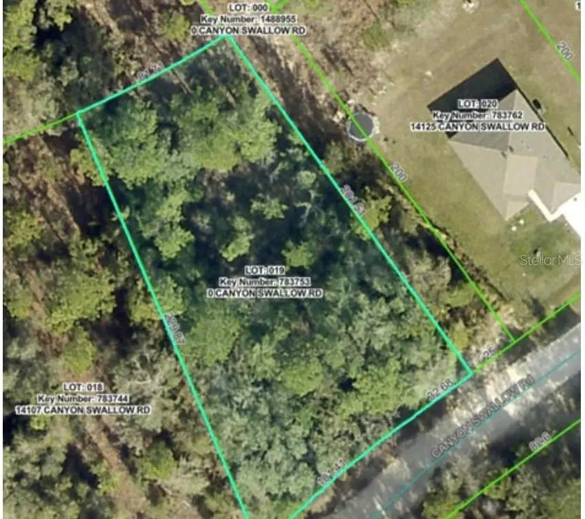 Lot 19 Canyon Swallow Road, Weeki Wachee, FL 34614 - Image #1