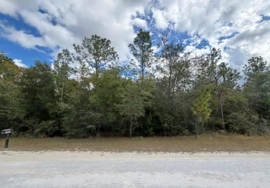 Lot 19 Canyon Swallow Road, Weeki Wachee, FL 34614 - Image #3
