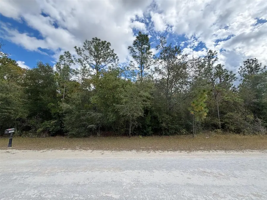 Lot 17 Canyon Swallow Road, Weeki Wachee, FL 34614 - Image #3