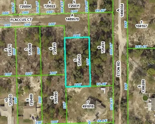 13154 Flaccus Court, BROOKSVILLE, FL 34613