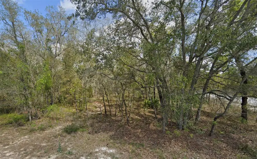 0 Grackle Road, Weeki Wachee, FL 34614 - Image #3