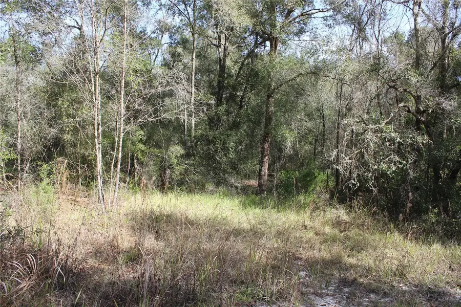 34273 Belt Drive, Dade City, FL 33523 - Image #2