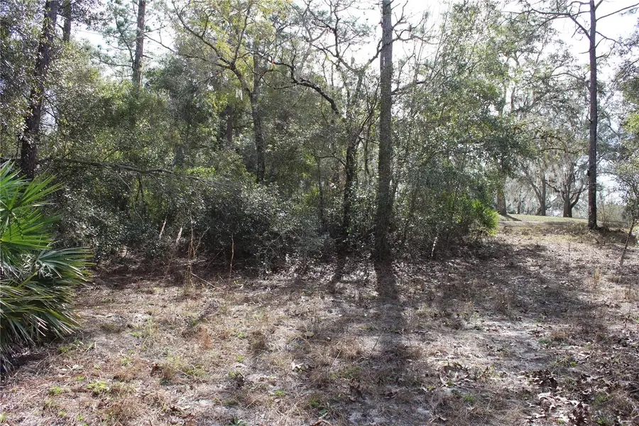 34273 Belt Drive, Dade City, FL 33523 - Image #3