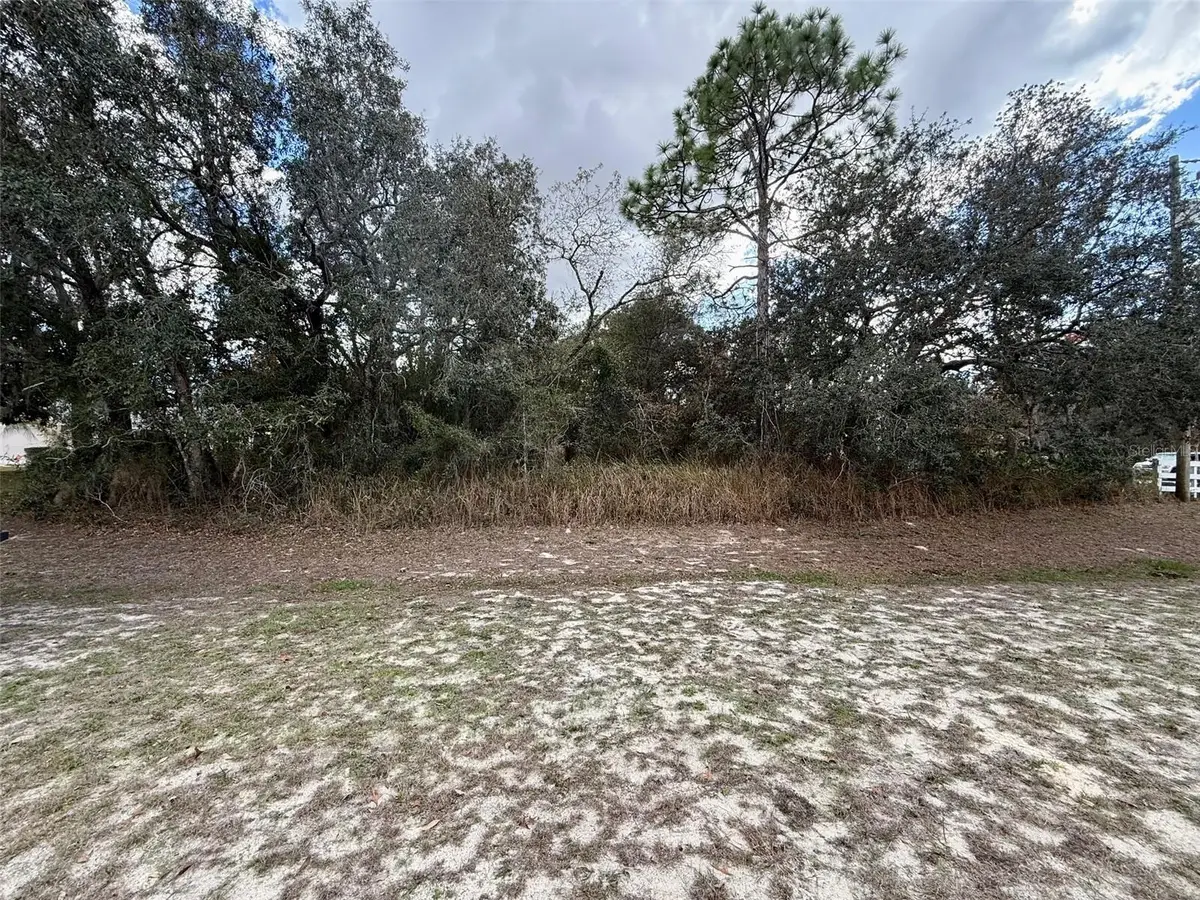 0 Centralia Road, Weeki Wachee, FL 34614 - Image #1