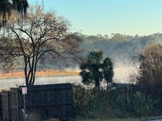 1 SE 161st Court, Ocklawaha, FL 32179 - Image #3