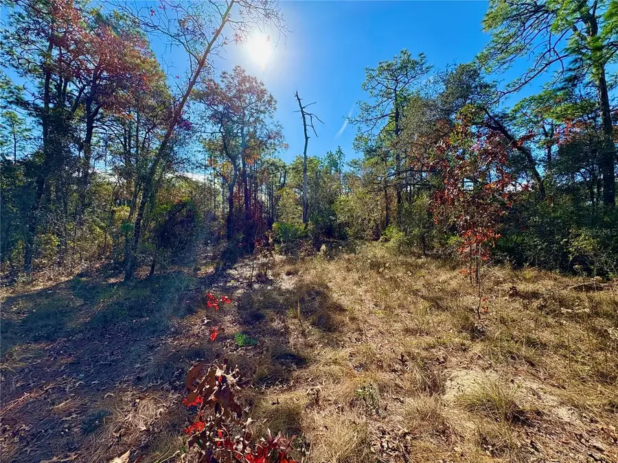 9164 Birmingham Avenue, Weeki Wachee, FL 34613 - Image #2