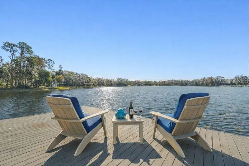 11008 Nest Court, Odessa, FL 33556 - Image #2