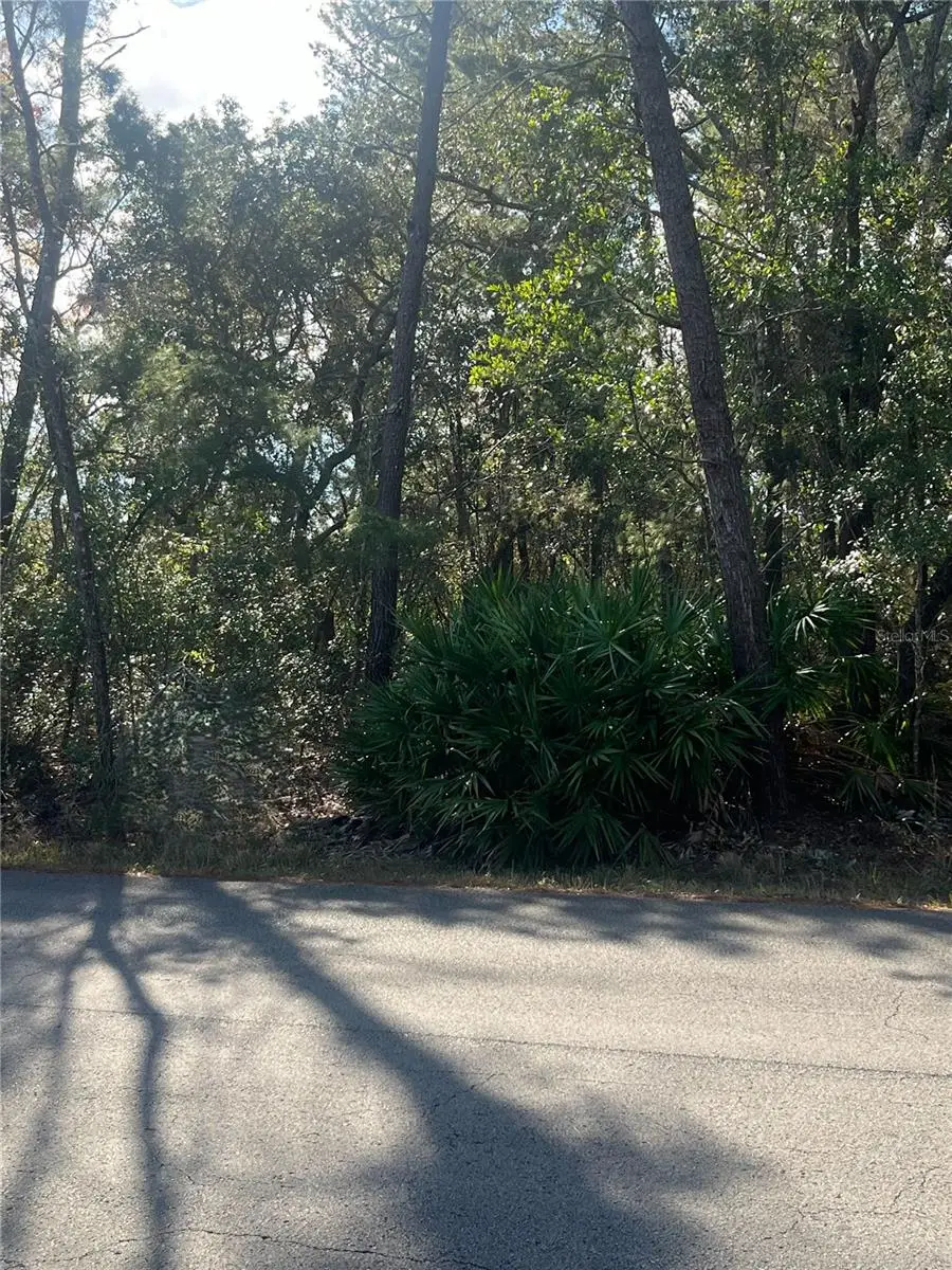 0 Yearling Avenue, Weeki Wachee, FL 34607 - Image #2