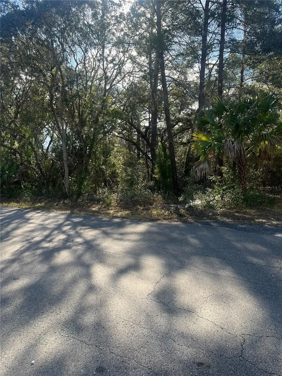 0 Yearling Avenue, Weeki Wachee, FL 34607 - Image #3
