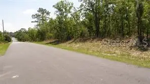 0 Petrel Avenue, Weeki Wachee, FL 34614 - Image #3