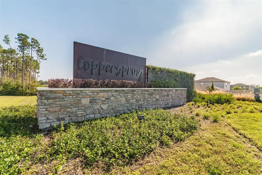 6065 Spring Crayfish Avenue, New Port Richey, FL 34653 - Image #2