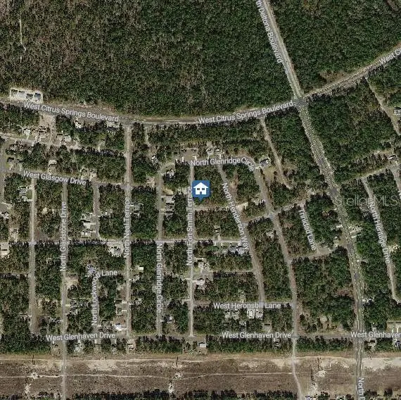 647 W Tulip Lane, Citrus Springs, FL 34434 - Image #3
