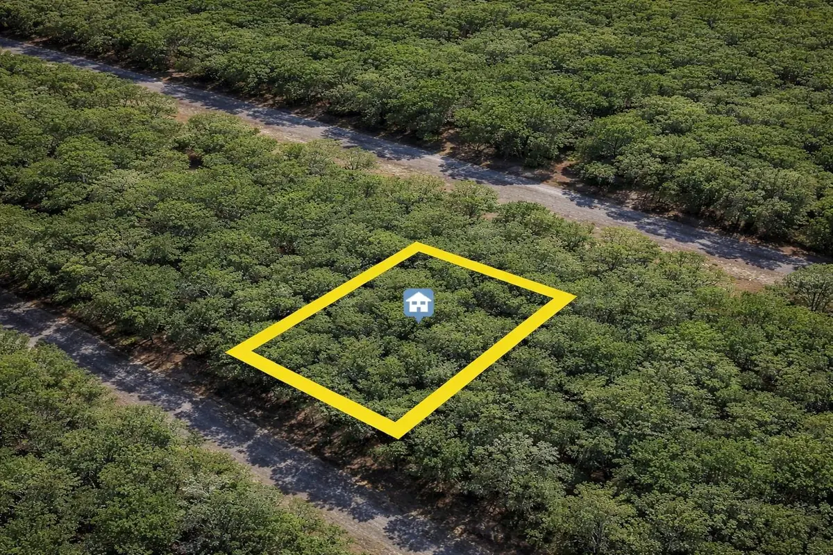 1650 E Badger Drive, Dunnellon, FL 34434 - Image #1