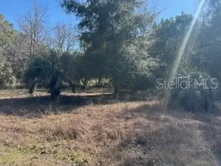 1162 E Sandy Lane, Hernando, FL 34442 - Image #3