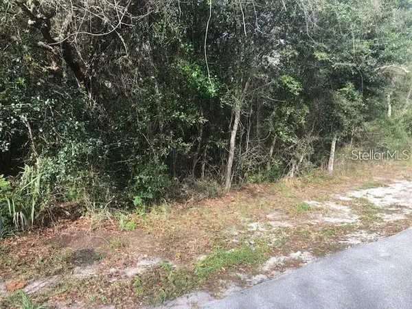 189 Candlewick Avenue, SPRING HILL, FL 34608