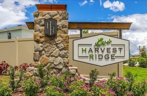 37445 Sharks Eye Lane, Zephyrhills, FL 33541 - Image #2