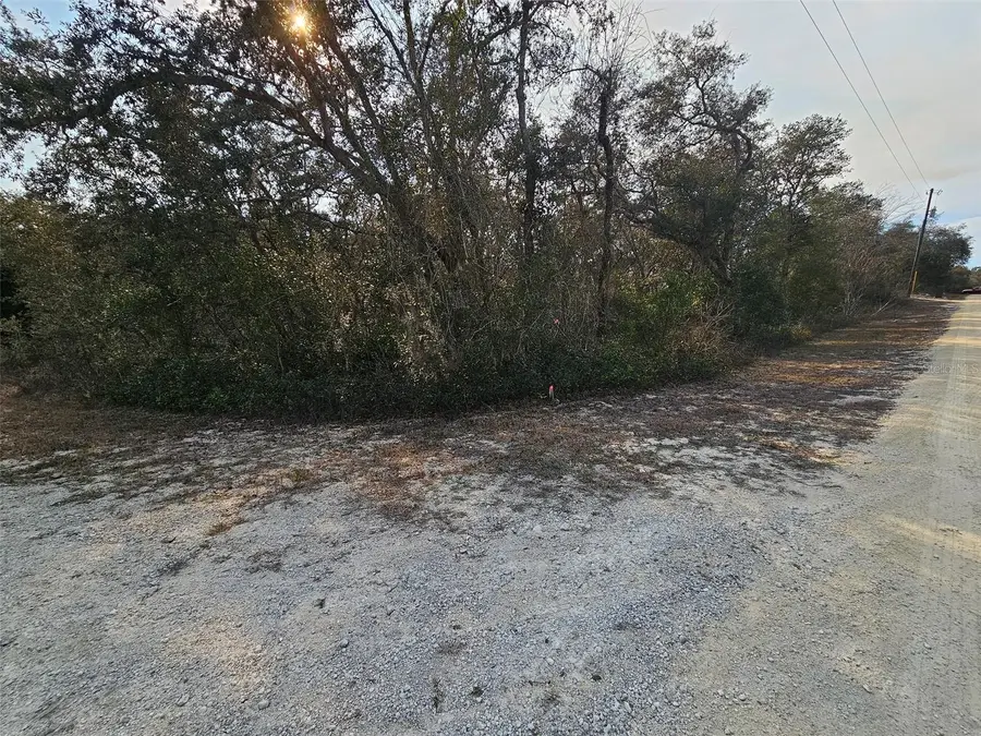 34310 Manuel Street, Webster, FL 33597 - Image #2