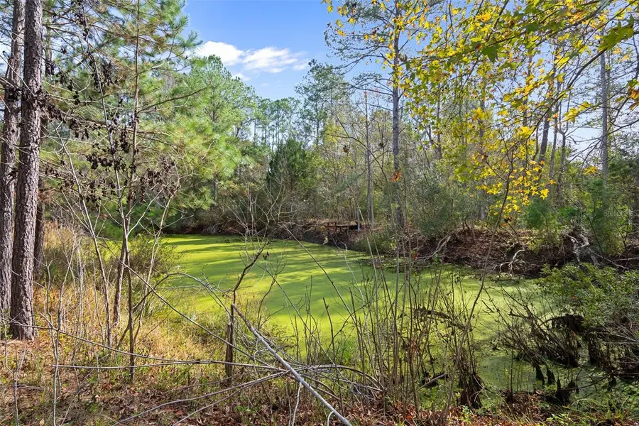22439 Bull Run Road, Brooksville, FL 34602 - Image #3