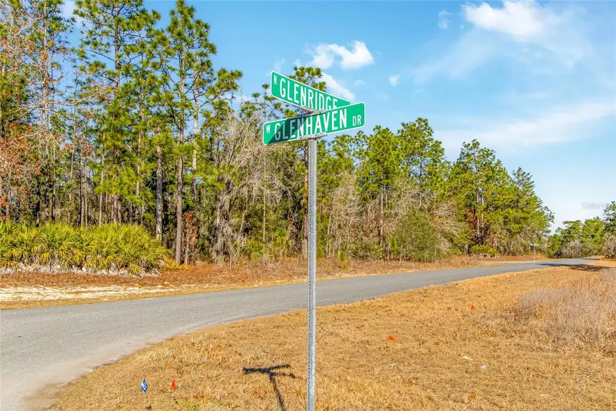 6932 N Glenridge Circle, Citrus Springs, FL 34434 - #3