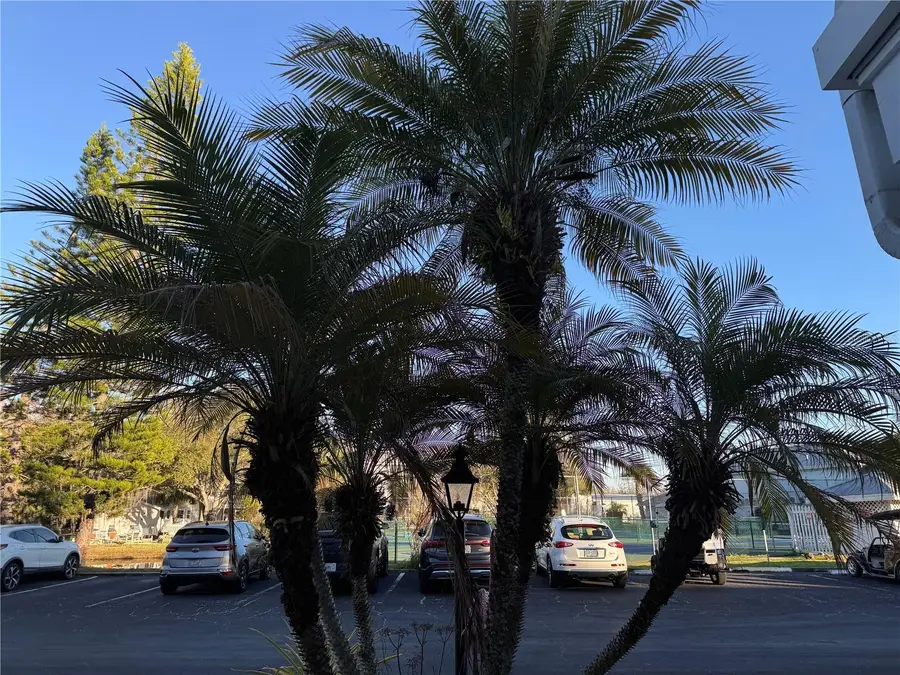 2111 Vista Del Sol Circle #403, Lutz, FL 33558 - Image #2