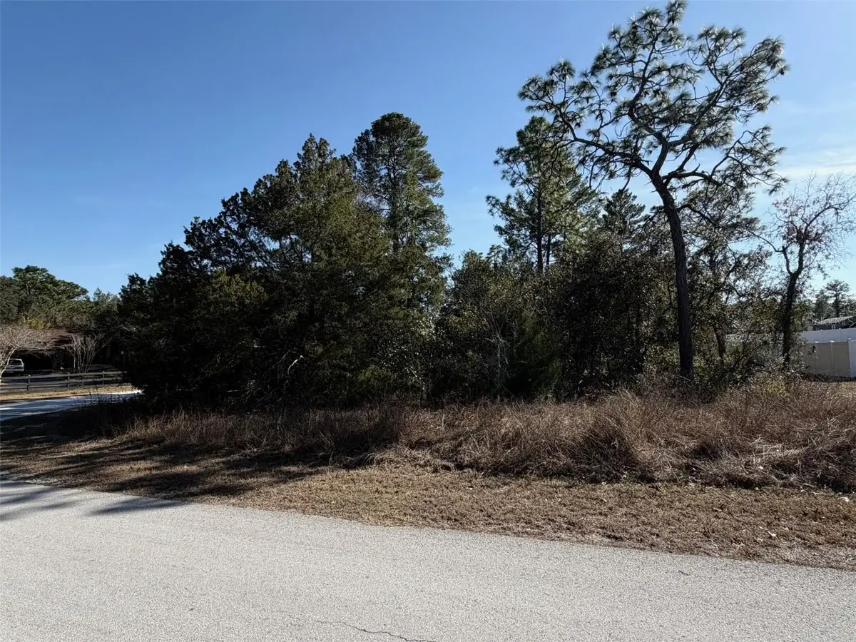 0 Gyrafalcon Avenue, Weeki Wachee, FL 34613 - #1