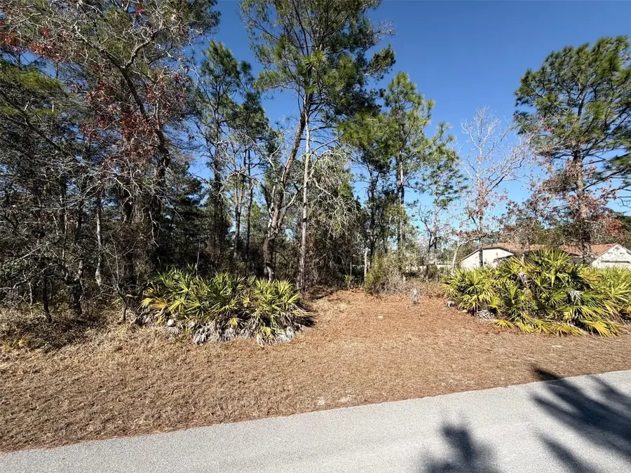 0 Fool Duck Avenue, Weeki Wachee, FL 34613 - #2