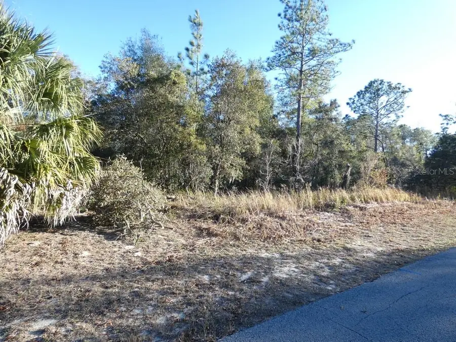 4571 N Rushmore Loop, Beverly Hills, FL 34465 - Image #2