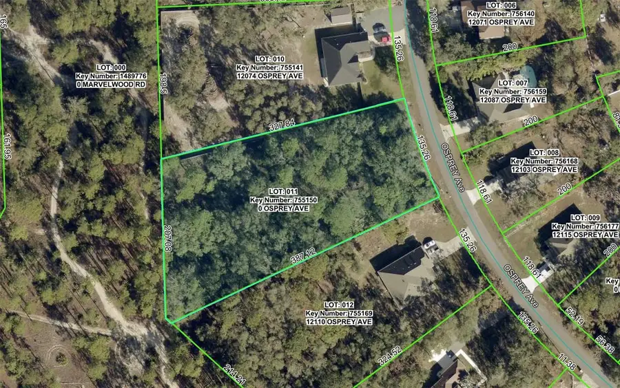 12090 Osprey Avenue, Weeki Wachee, FL 34614 - #2