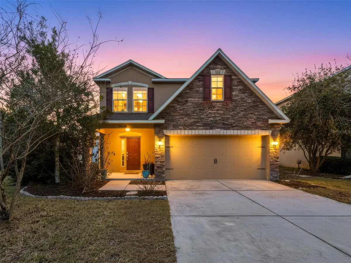 36115 Markree Castle Avenue, Dade City, FL 33525 - #1