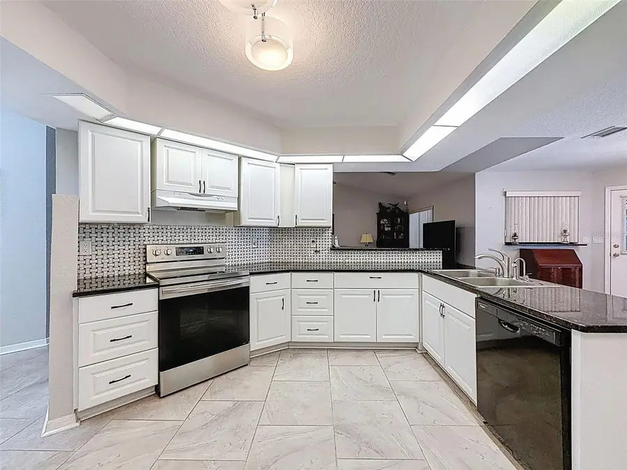 12923 Oak Nut Street, Hudson, FL 34667 - #2