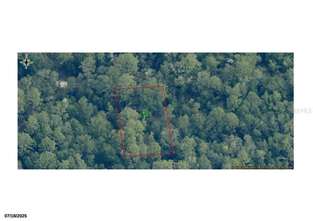 7248 W Citruswood Drive, Dunnellon, FL 34433 - #1