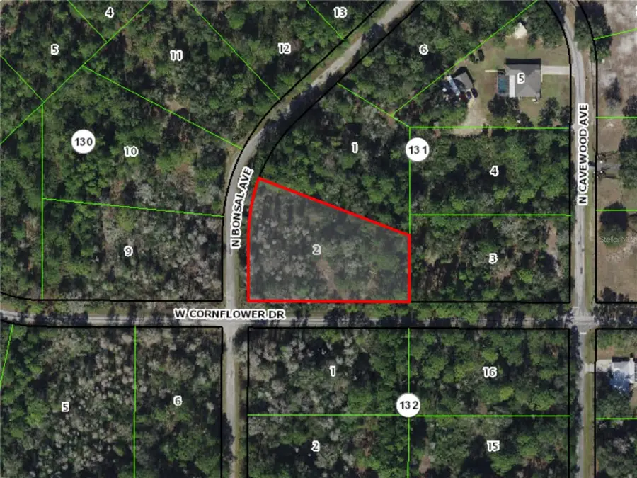 9474 N Bonsai Avenue, Crystal River, FL 34428 - Image #2