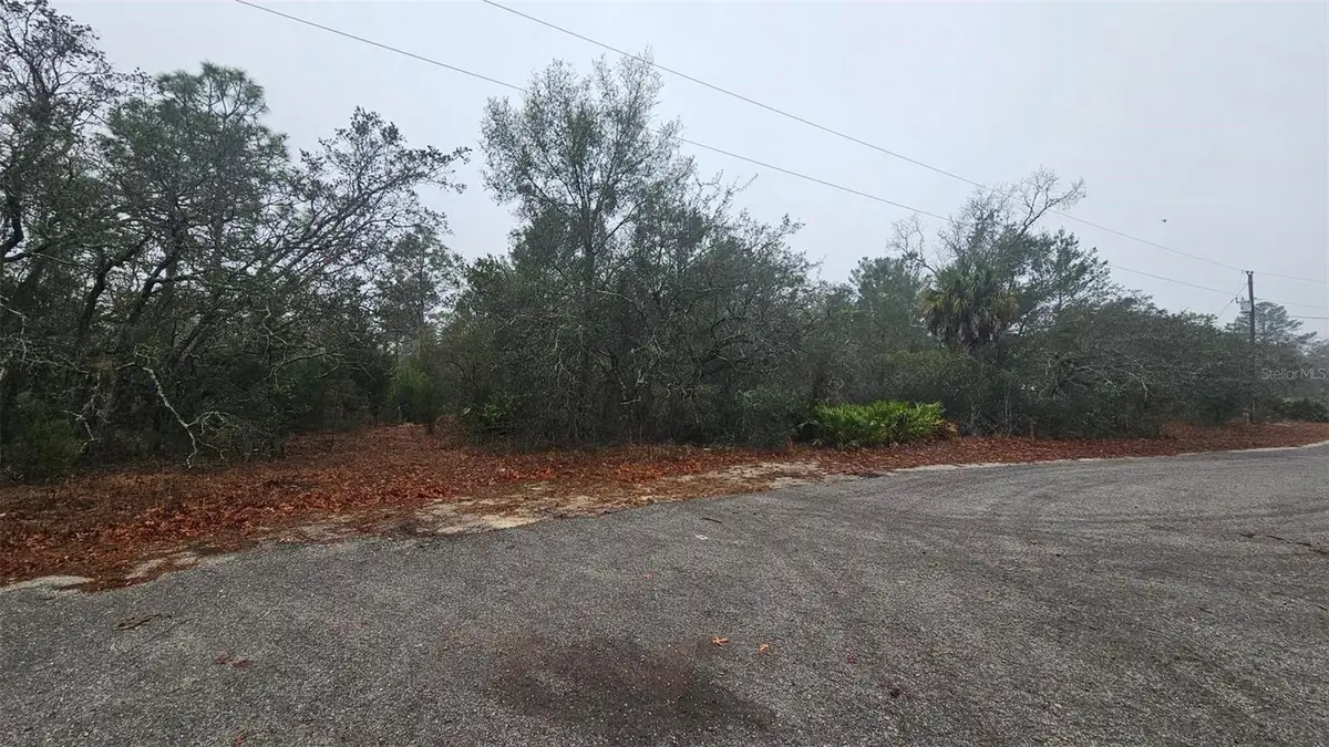 0 Indian Trail Road, Weeki Wachee, FL 34613 - #1