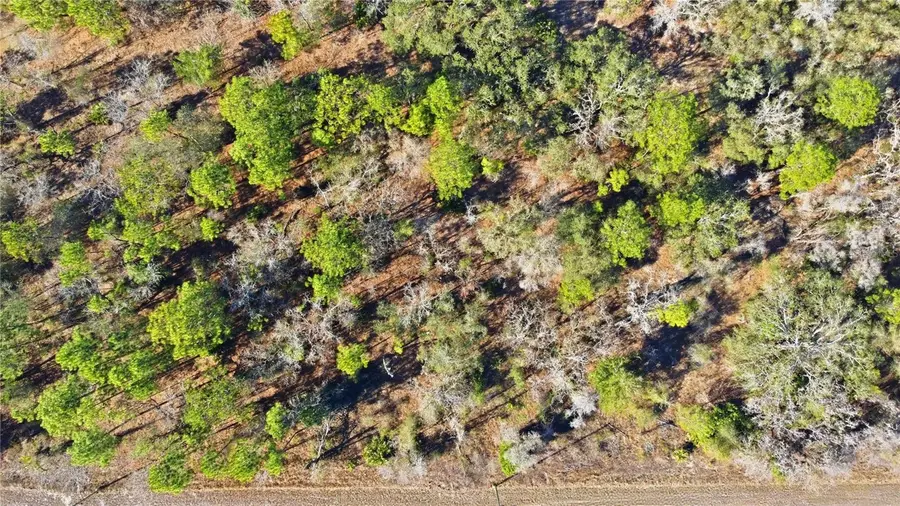 00 Velvet Scoter Avenue, Weeki Wachee, FL 34614 - #3