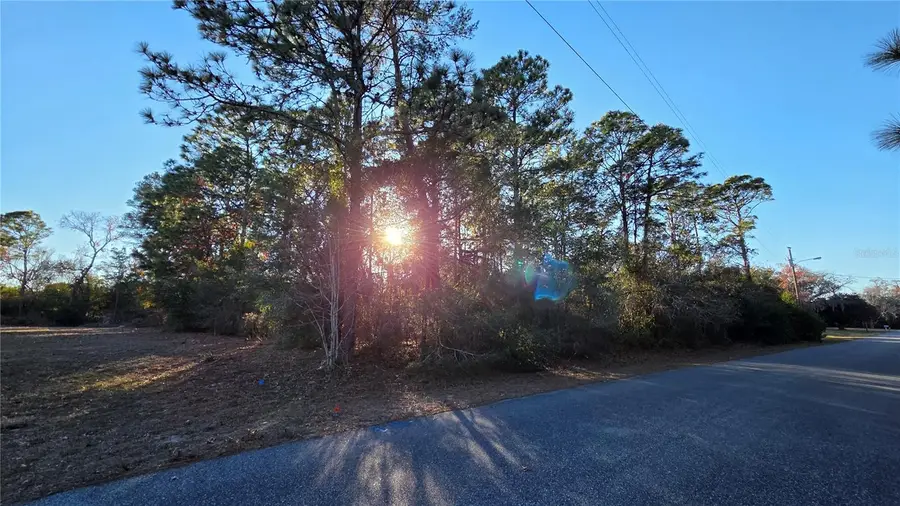 13122 Angler Street, Spring Hill, FL 34609 - #3
