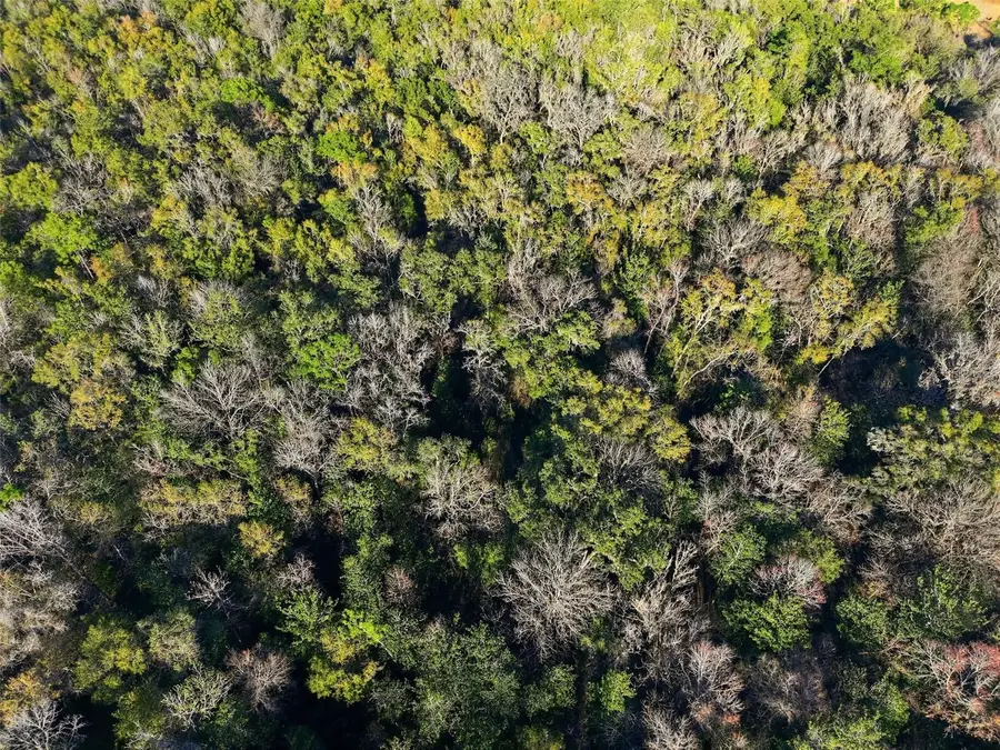 0 Thompson Loop, Brooksville, FL 34614 - #3