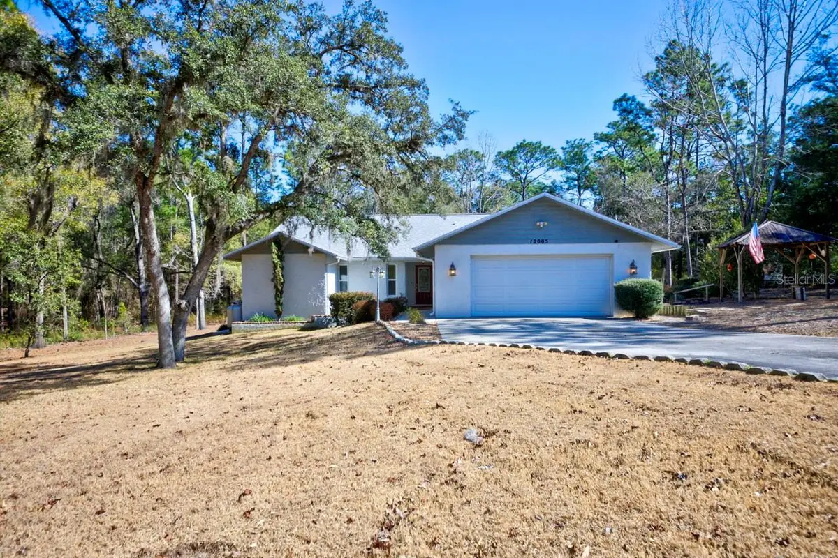 12005 S Hyacinth Point, Floral City, FL 34436 - #1