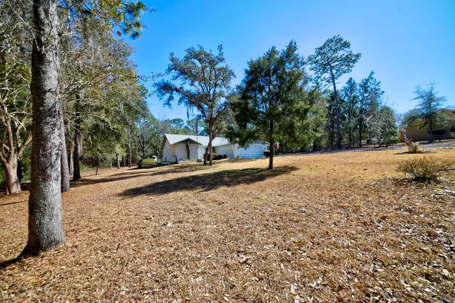 12005 S Hyacinth Point, Floral City, FL 34436 - #3