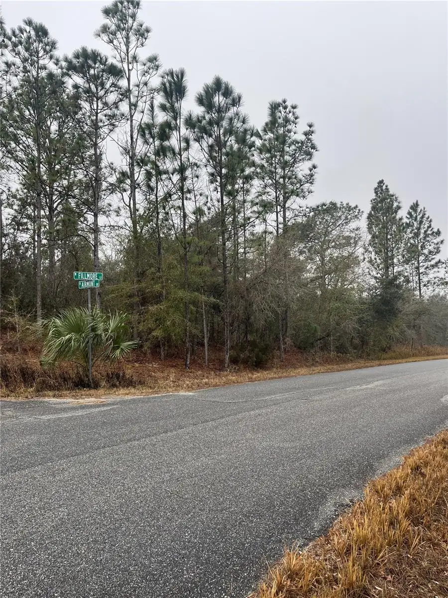 6714 N Airmont Drive, Dunnellon, FL 34433 - #2