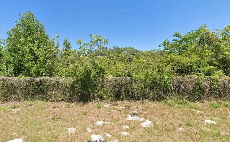 Boitnott Lane, Bushnell, FL 33513 - #2