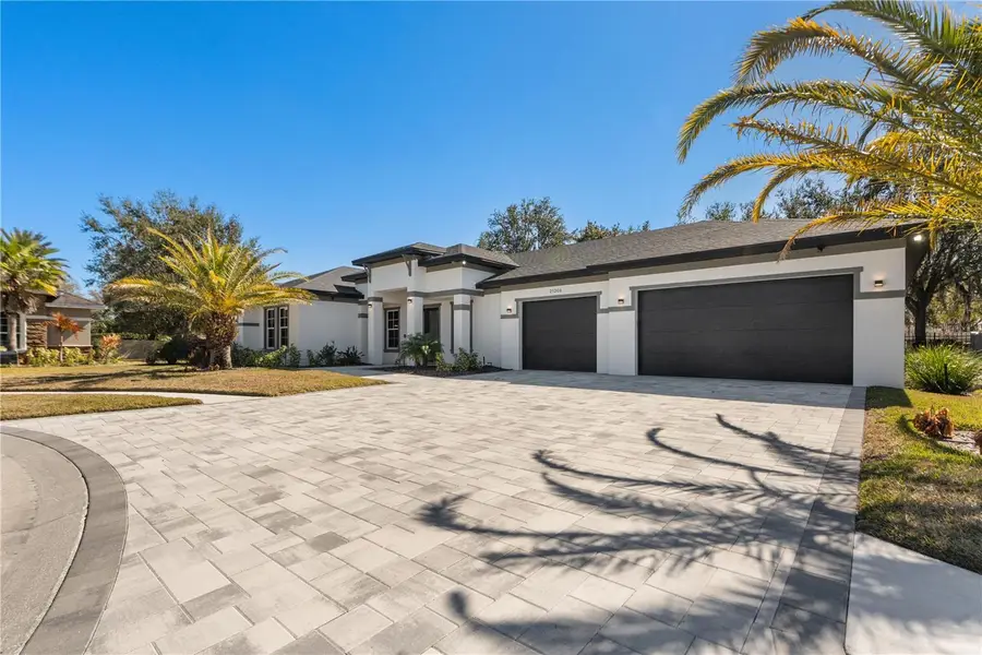 21206 Ski Way, Land O Lakes, FL 34638 - #3