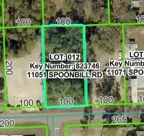 11051 Spoonbill Road, Weeki Wachee, FL 34613 - #2