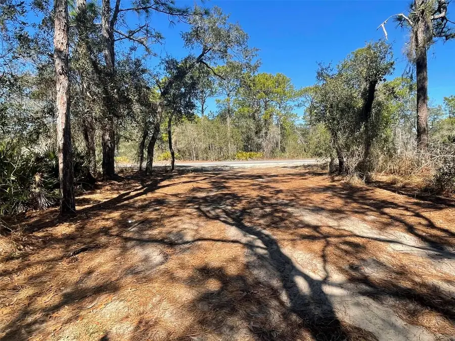 11242 Mirage Avenue, Weeki Wachee, FL 34614 - Image #3